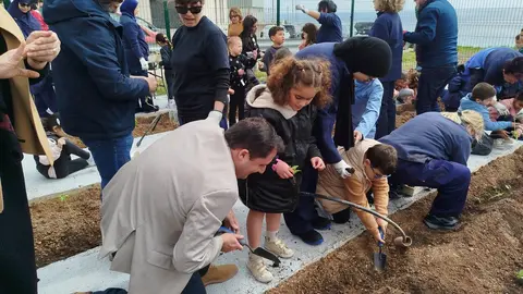 Huerto urbano La Esperanza Loma Colmenar (20)
