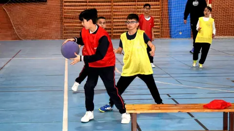 Federaci&oacute;n de baloncesto / Cedida