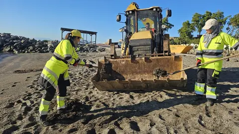 Retirada de algas en el Chorrillo