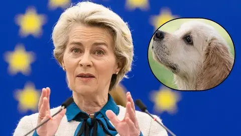 La UE cambia las normas sobre las mascotas / SPORT.ES