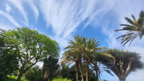 El tiempo