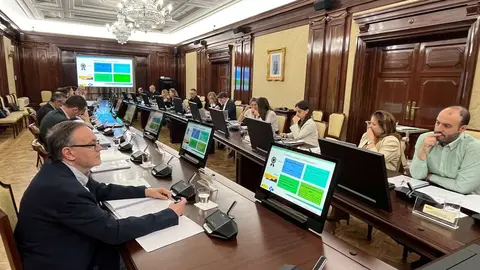 20260528_Consejo de Participaci&oacute;n_INGESA_1