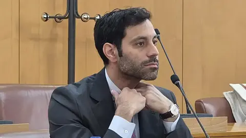  El consejero de Urbanismo, Rafael Mart&iacute;nez Pe&ntilde;alver en el Pleno de este mi&eacute;rcoles./L.Ortiz 