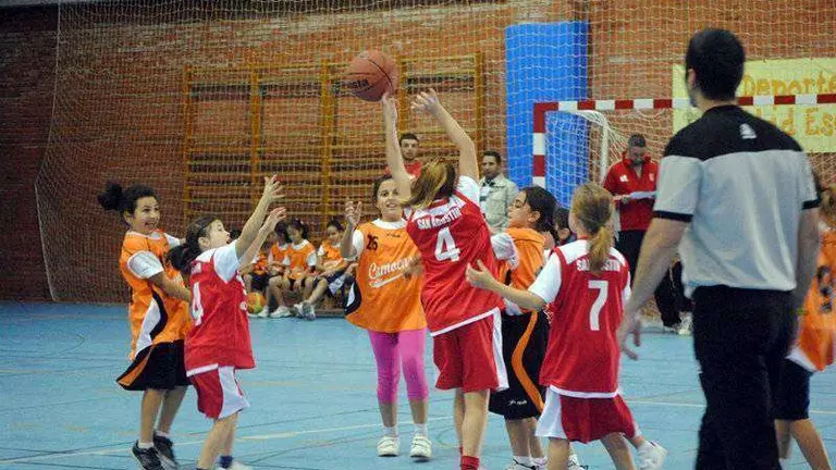 basket26