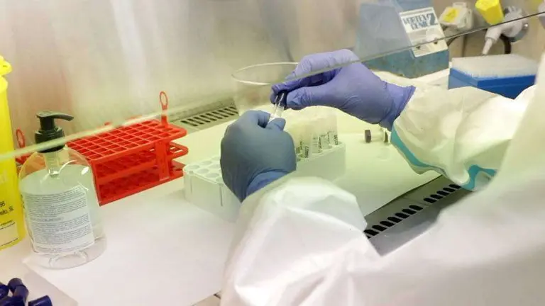 coronavirus