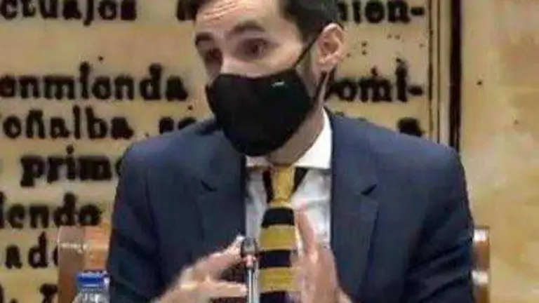 Rafael P&eacute;rez, durante su comparecencia en el Senado