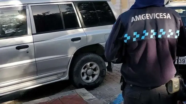 Amgevicesa