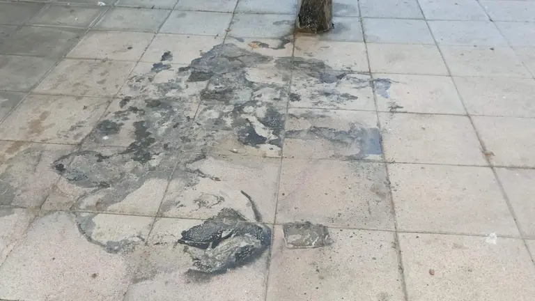 Basura suciedad en las calles de Ceuta
