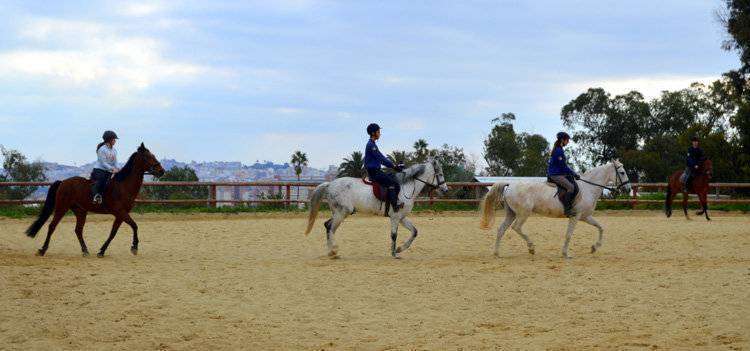 hipica1