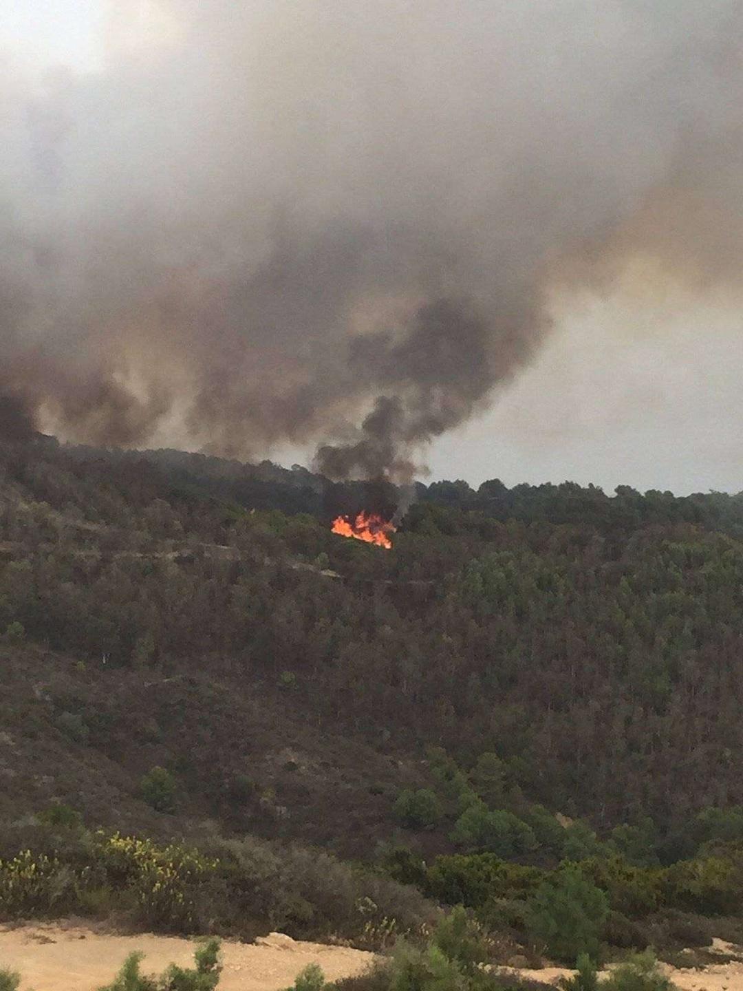 incendio tortuga (4)