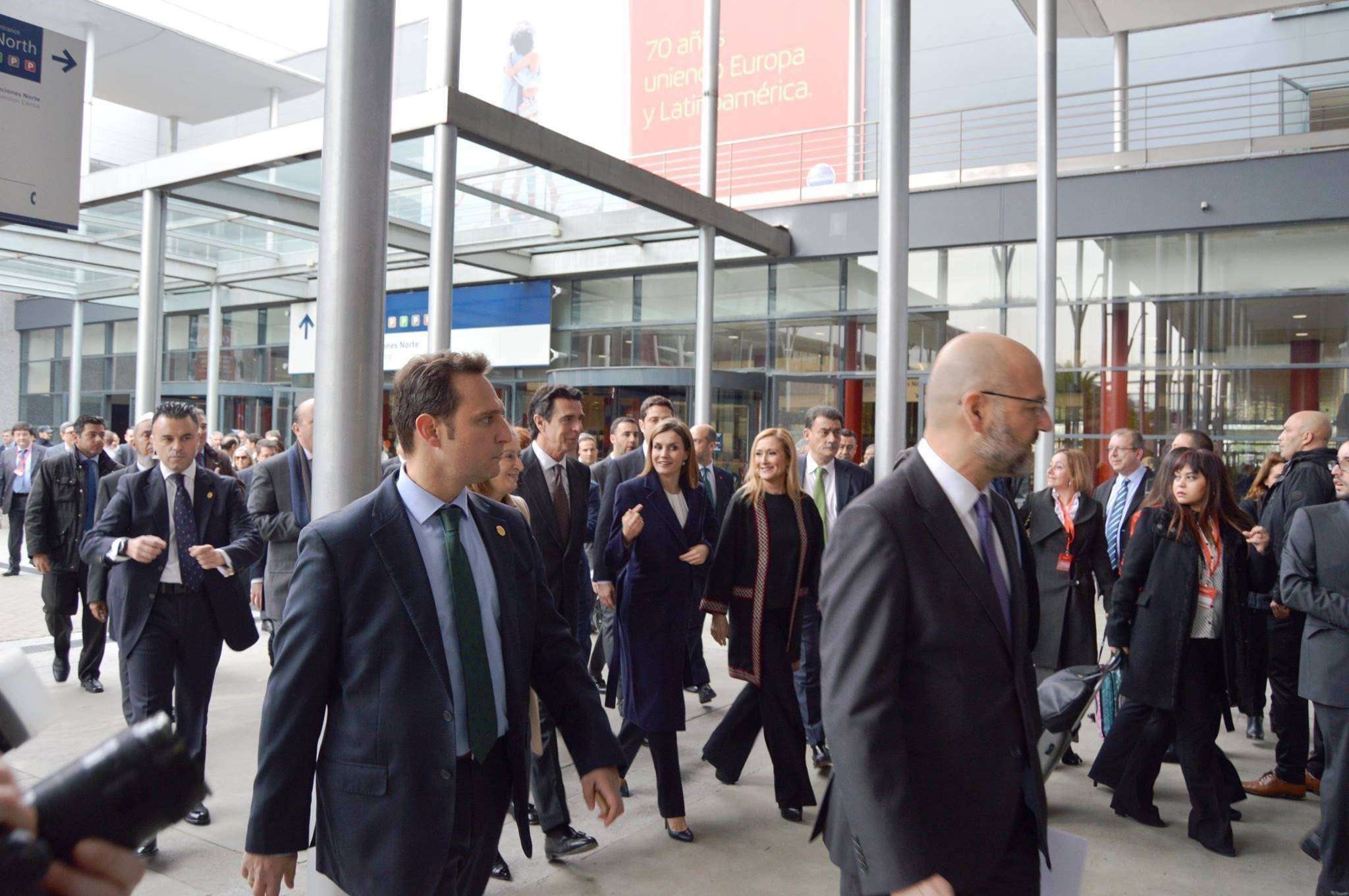 fitur reina
