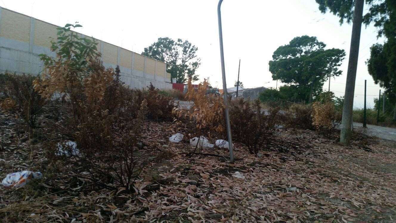 Fotos reduan