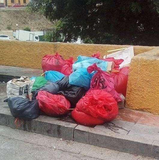 bolsas2