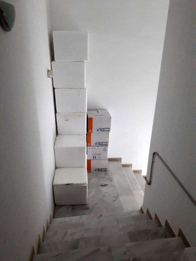 sanidad de la ciudad