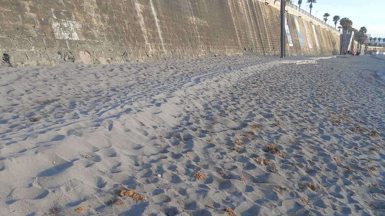 descarga (2)