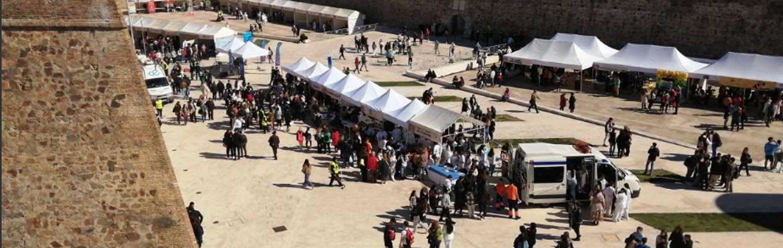 Vista de la Feria de la Educación y la Formación en las Murallas Reales (C.A.)