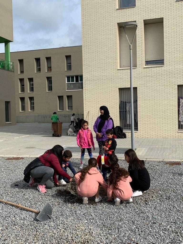 actividad en la que se han sembrado 60 árboles frutales alrededor de la barriada 317 VPO de Loma Colmenar