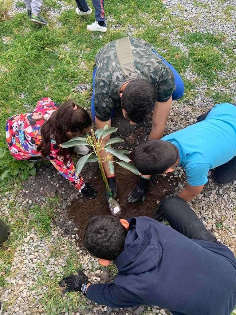 actividad en la que se han sembrado 60 árboles frutales alrededor de la barriada 317 VPO de Loma Colmenar