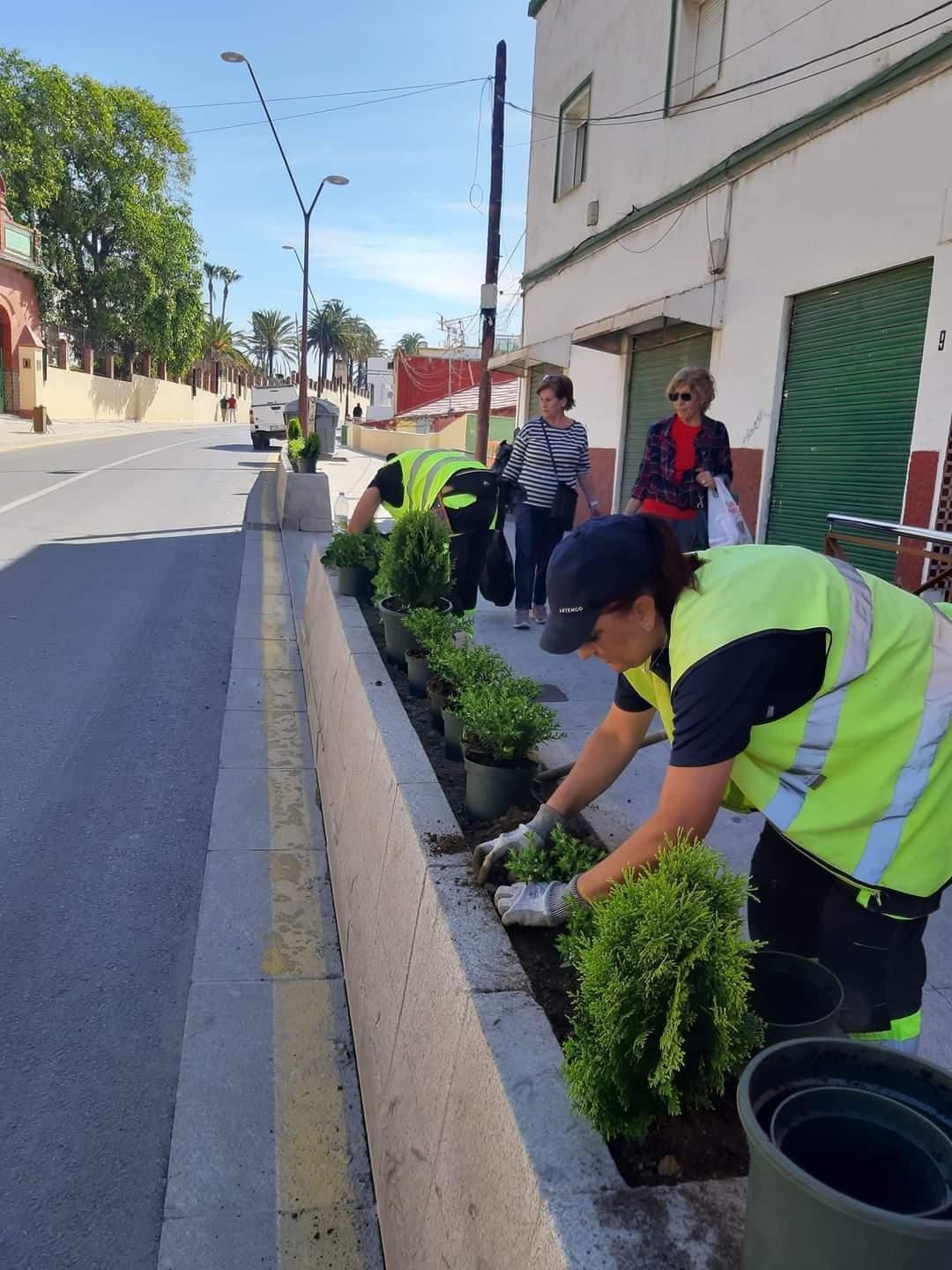 Jardineras de la avenida Claudio Vázquez