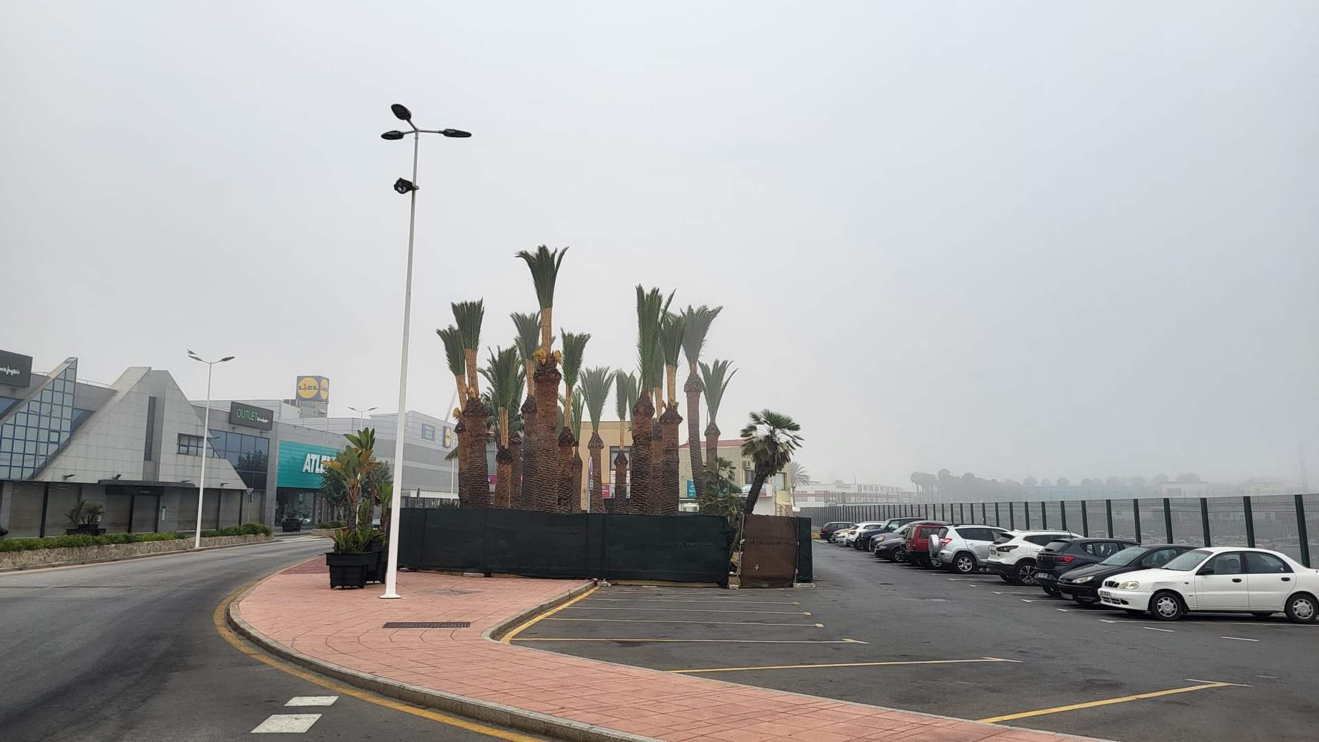 Jardines del Muelle España Niebla palmeras