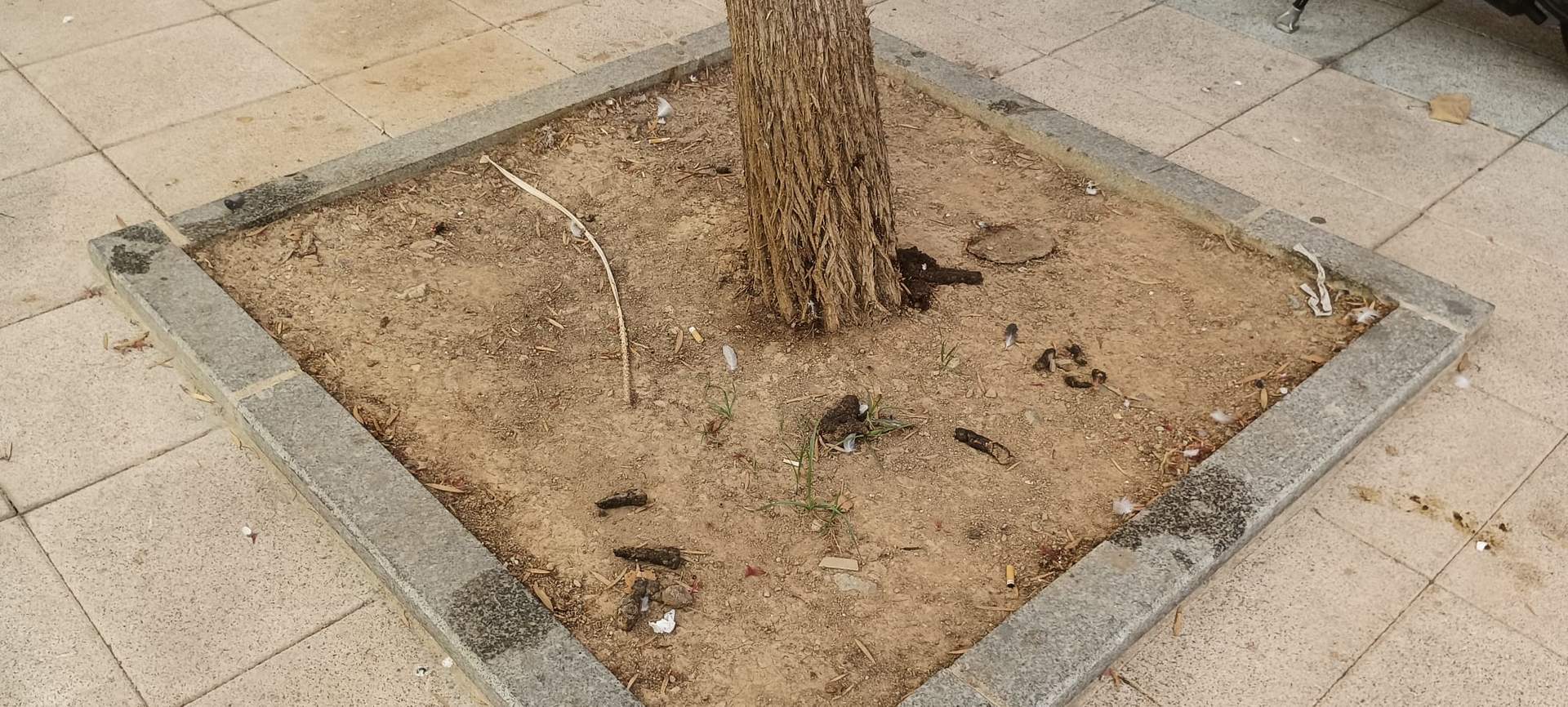 Basura suciedad en las calles de Ceuta