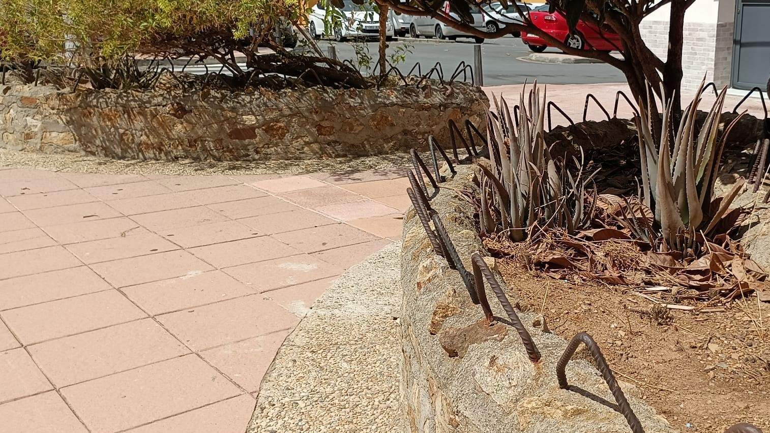 Abandono de las jardineras de las barriadas