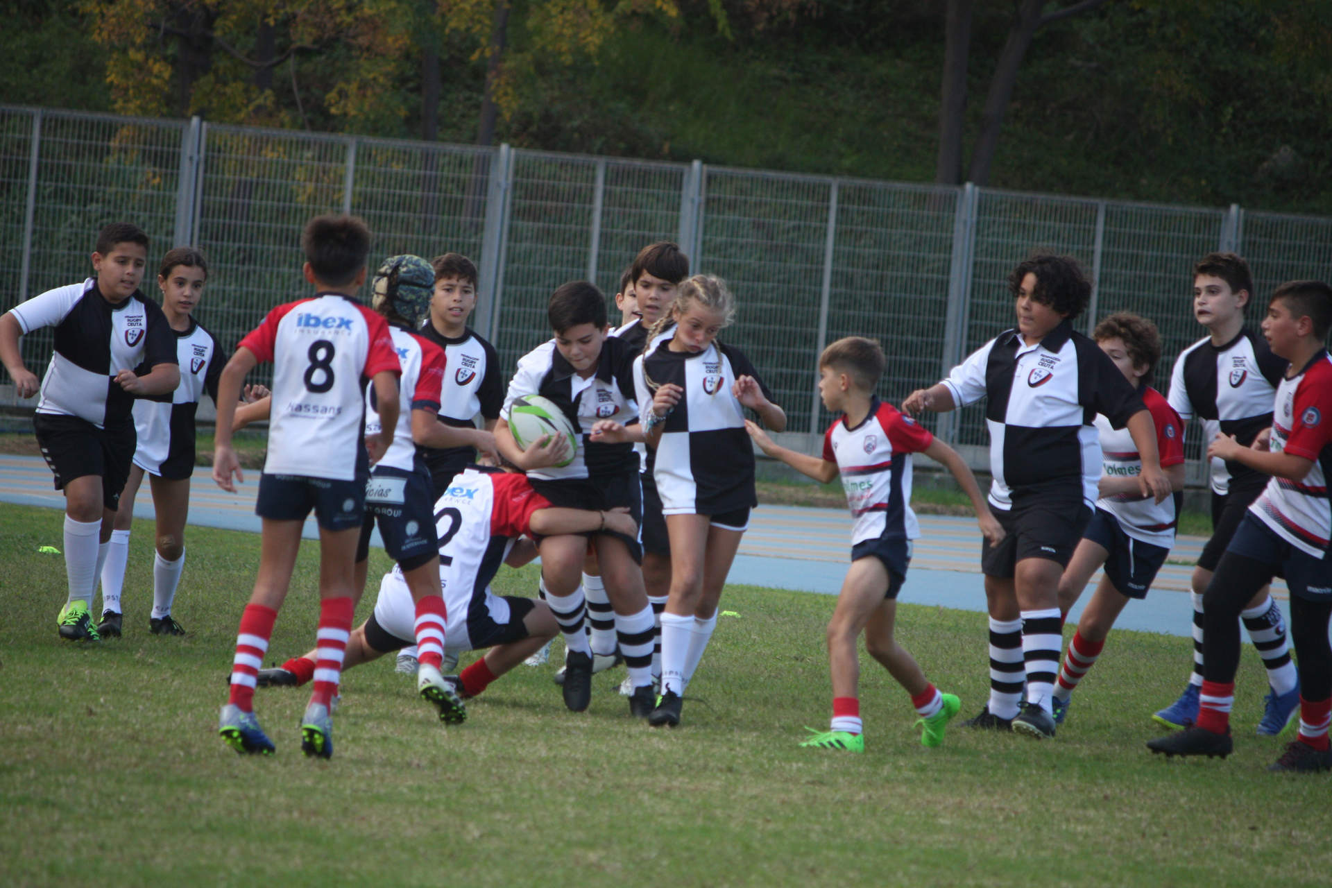 rugby