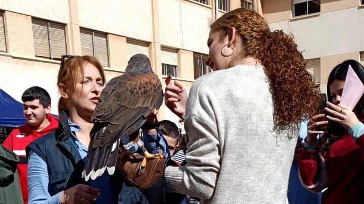 La cetrería en las aulas: un día con las aves en el IES Luis de Camoens