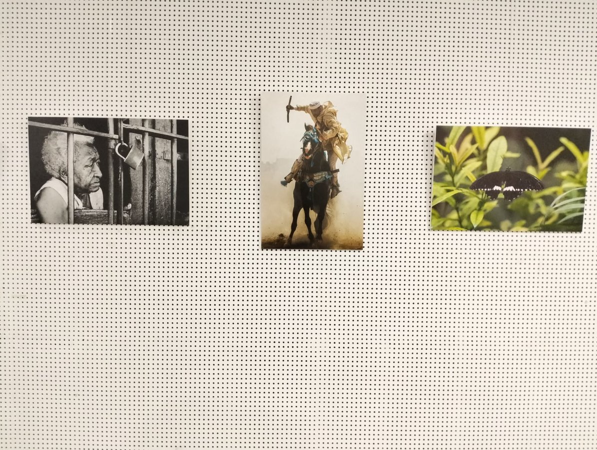 Exposición colectiva de Miradas