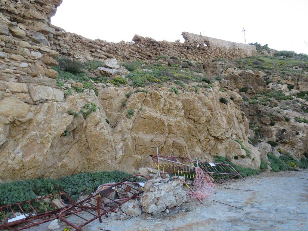 Lienzo cala desnarigado