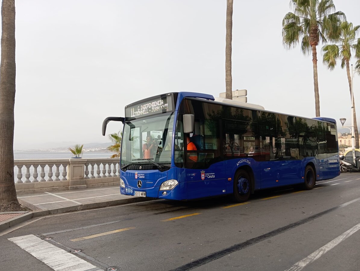 linea 11 1