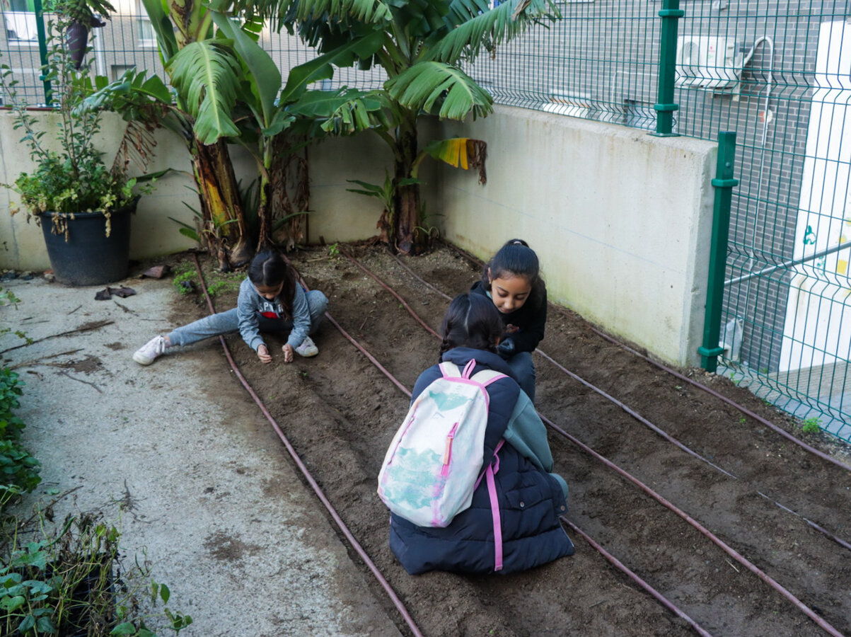 Fundación Cruz Blanca y Huerto de Loma Colmenar: sembrando valores en la infancia