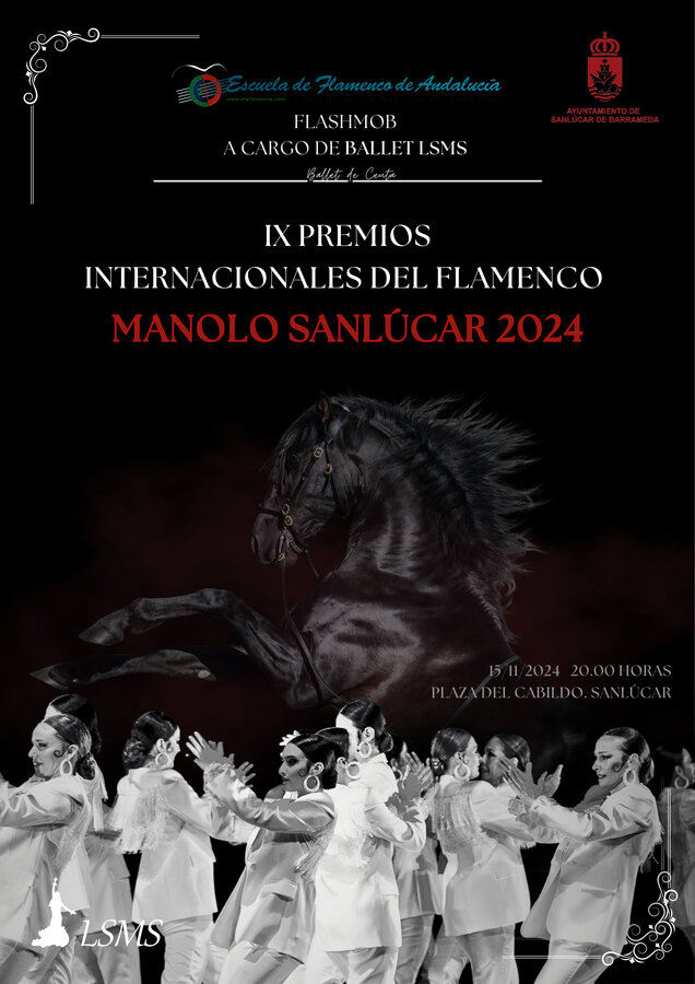 IX PREMIOS INTERNACIONALES DEL FLAMENCO (5)