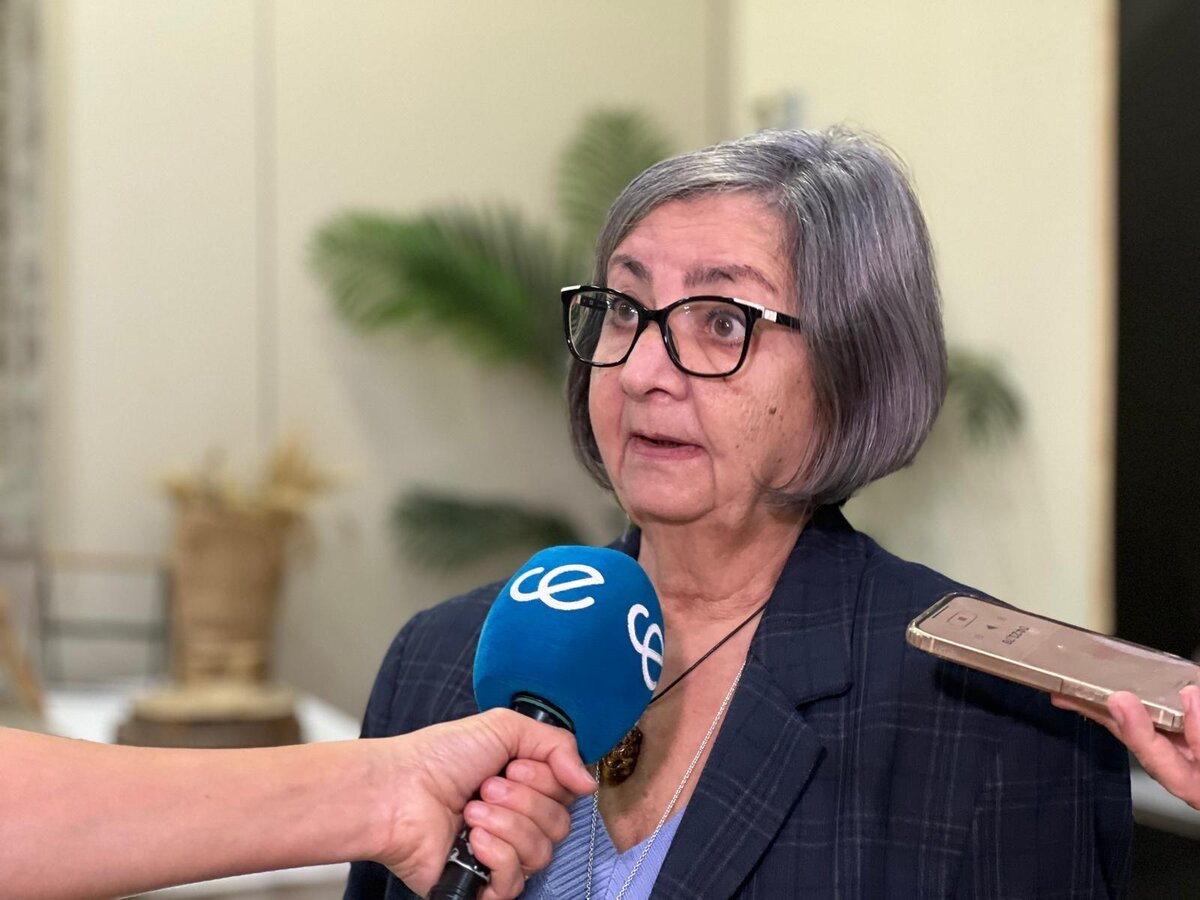 Mari Carmen Rosino, vicepresidenta del CERMI
