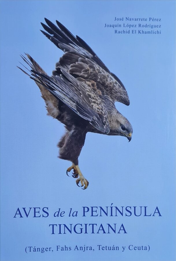 libro seo