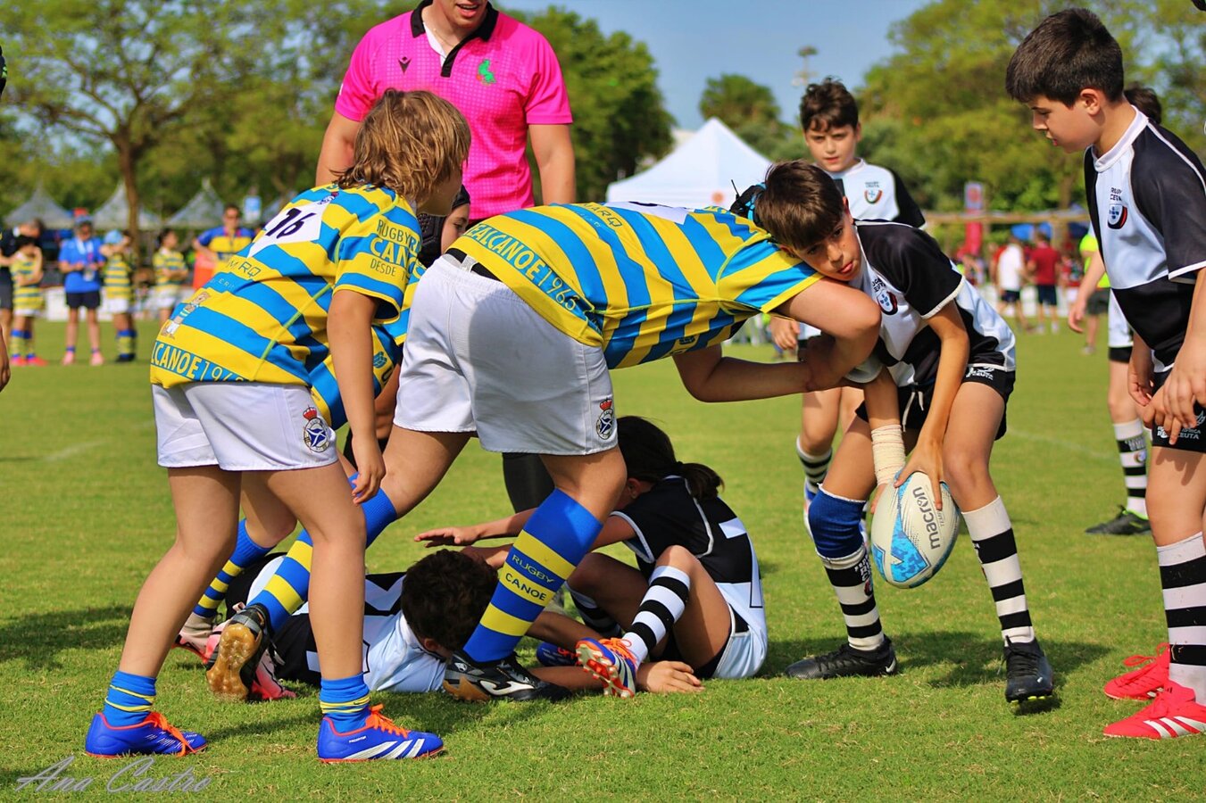 rugby