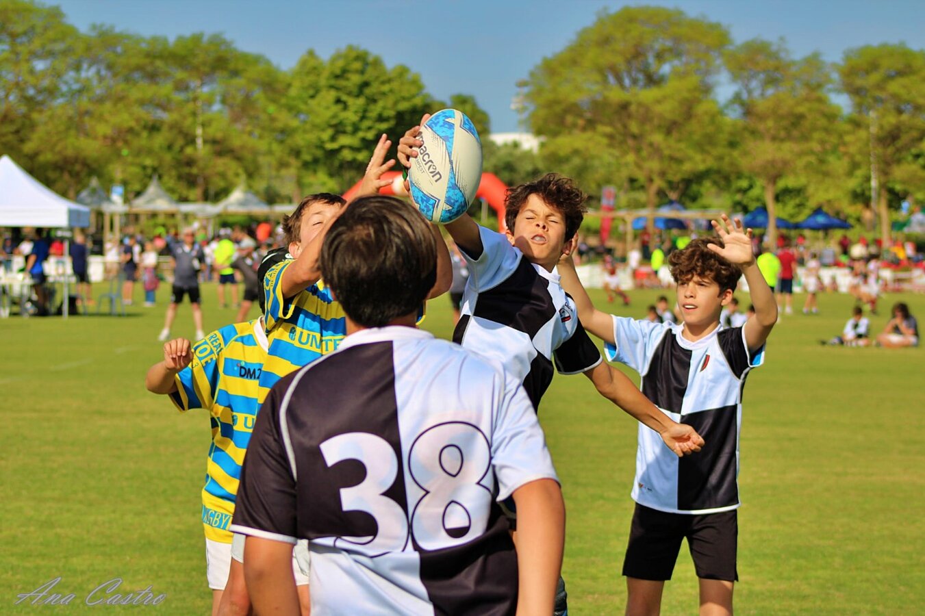 rugby