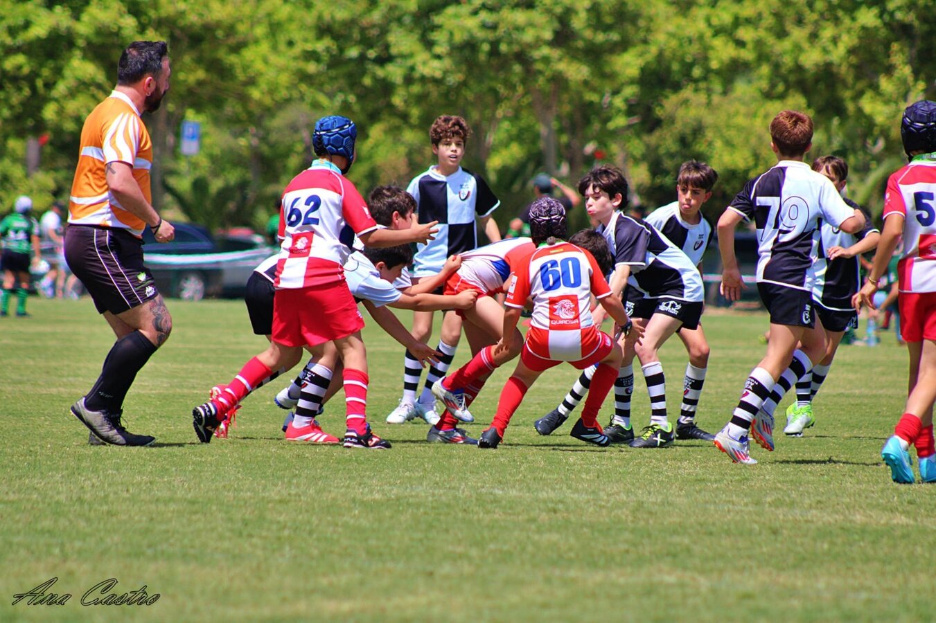 rugby
