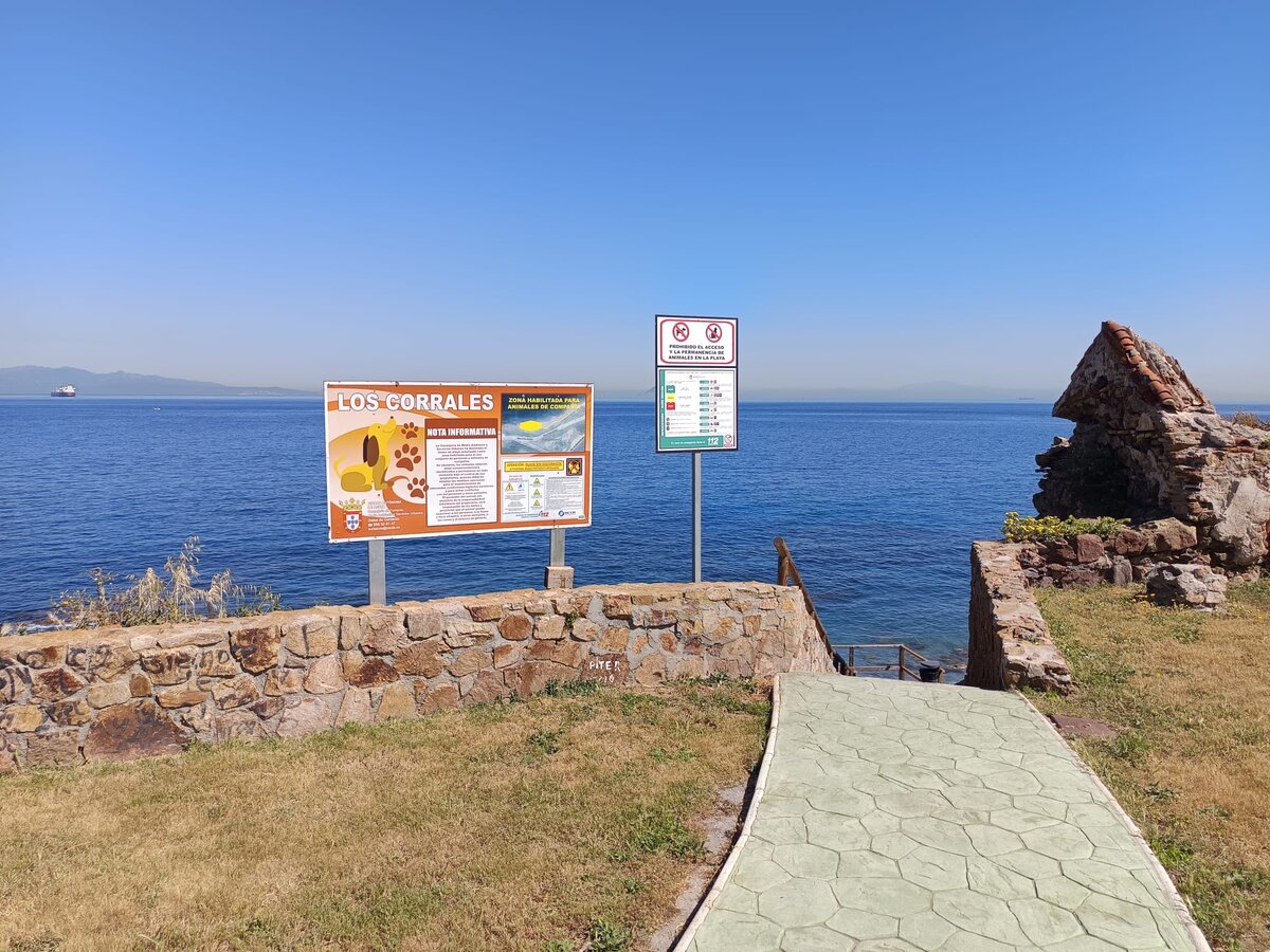 Playa_Corrales_perros.7