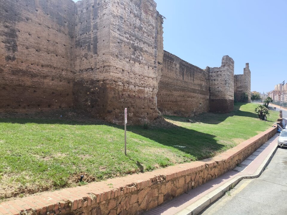 Se observa que se ha actuado sobre el jardín tras la denuncia