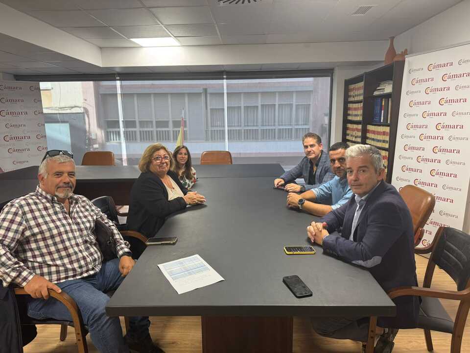 Reunión de los representantes de las autoescuelas como la Cámara de Comercio