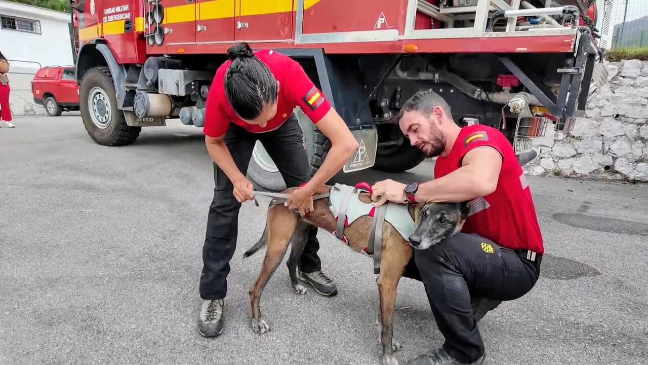 La UME convierte Ceuta en un campo de entrenamiento para catástrofes reales