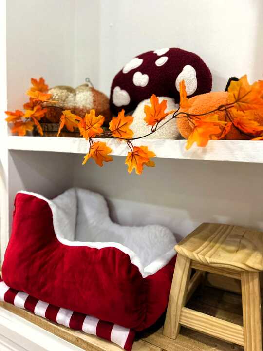 Parte del decorado de las sesiones / E. Arteaga