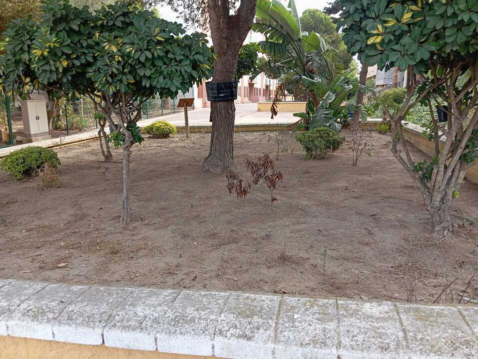 La Ciudad intensifica las labores de limpieza y mantenimiento en varias barriadas