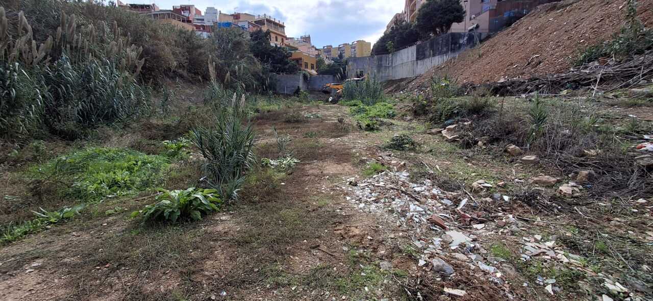 Trabajos de limpieza en el entorno del José Benoliel / Cedida
