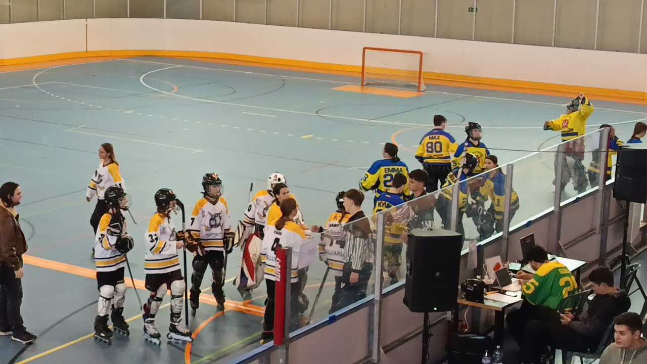 Los cachorros del Bulldogs Ceuta
