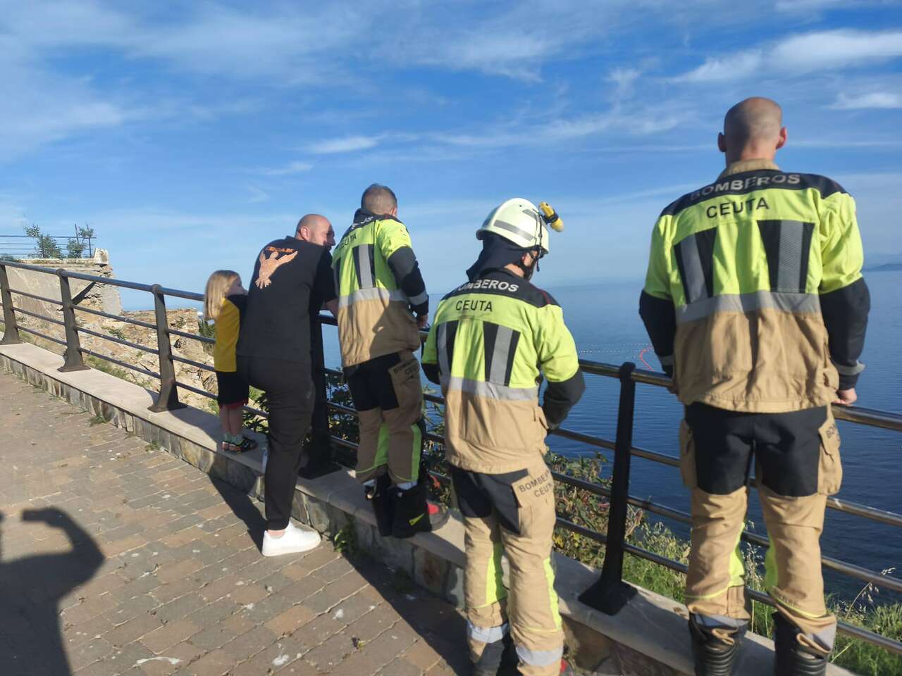 Buitre agotado en Ceuta: el CECAM atiende un nuevo caso en plena migración